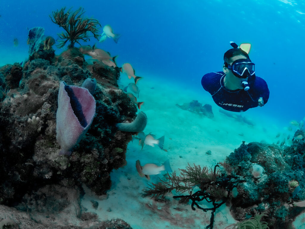 Snorkel en apnée à Cozumel