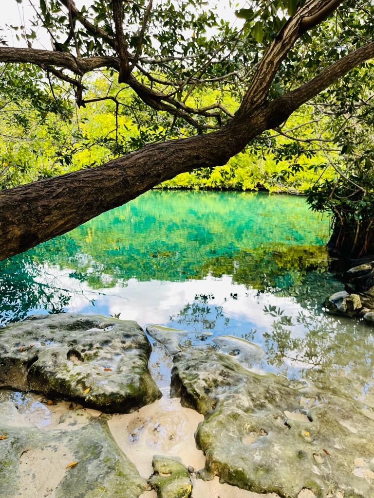 Cenote Casa Cenote Tulum