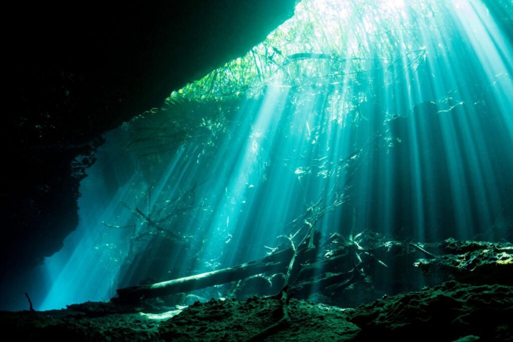 6wx7qyp5gaczdsqqwqahw9ani0yw nckcfep03z8ucq09ghnm8qv1mijjp a4p9mxrtxs9isvzg x8 1bwzs pddgu3qol14asfsllwmtnxunexdprydmuy3covasye2ocdnc19wegxsurfr5zksuno5e0epez92xnu39jvbmmvxlwtmlho px5lrpqhery3