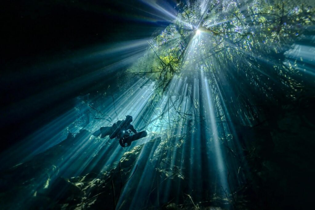 CENOTE KUKULKAN d t4wkvuvj8denqcsakjnhcf f8v9obrxxqvaeuudiqfmwnwlmsnjjdxq 8yh3ipugaulkr gighbf3ofz3 r8jigbmb0w 9unqpu4rv8c8xuaeugibrqd0vuoonbmeqys58bcrgx3i58izqlvbqynuos2iqtseaqcyx03jcaet9ccp2sprhyjyr5 ts2n6t