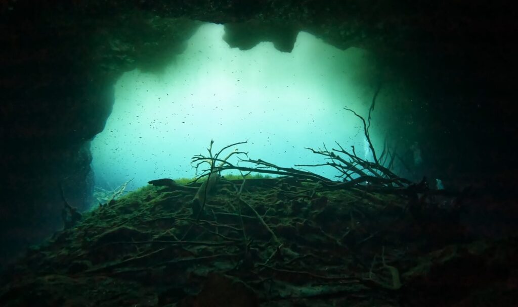 CENOTE AKTUN HA – CARWASH carwash
