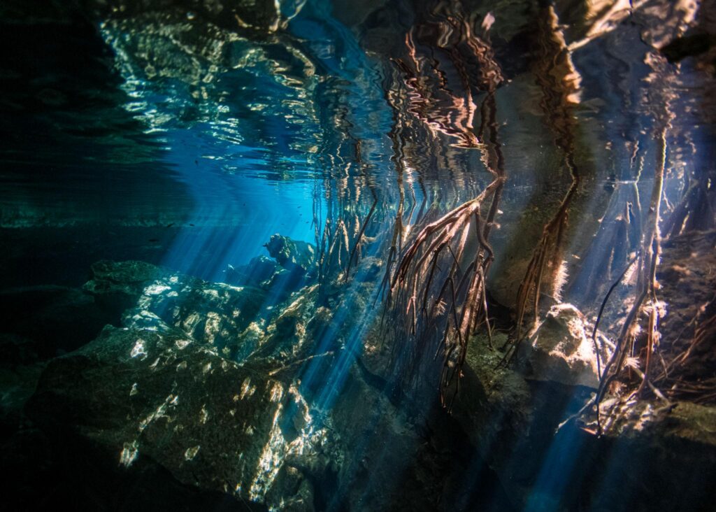 CENOTE KUKULKAN k6 ooa0i1oraoresjkyezswwwa4w lnomdyz8beyla86ohcmdo5w 6fgcz0qa12y5wfsfchp22wozeoc8tgeflvvgahlqmqdflpdxb6xa7td 4lzwrfvizpr7x0yu9lxl1fkmvv1gw2kqg703xhrs9zexxmevbuk5afxbvnvh7t bssl cxh8av3b2vhak9