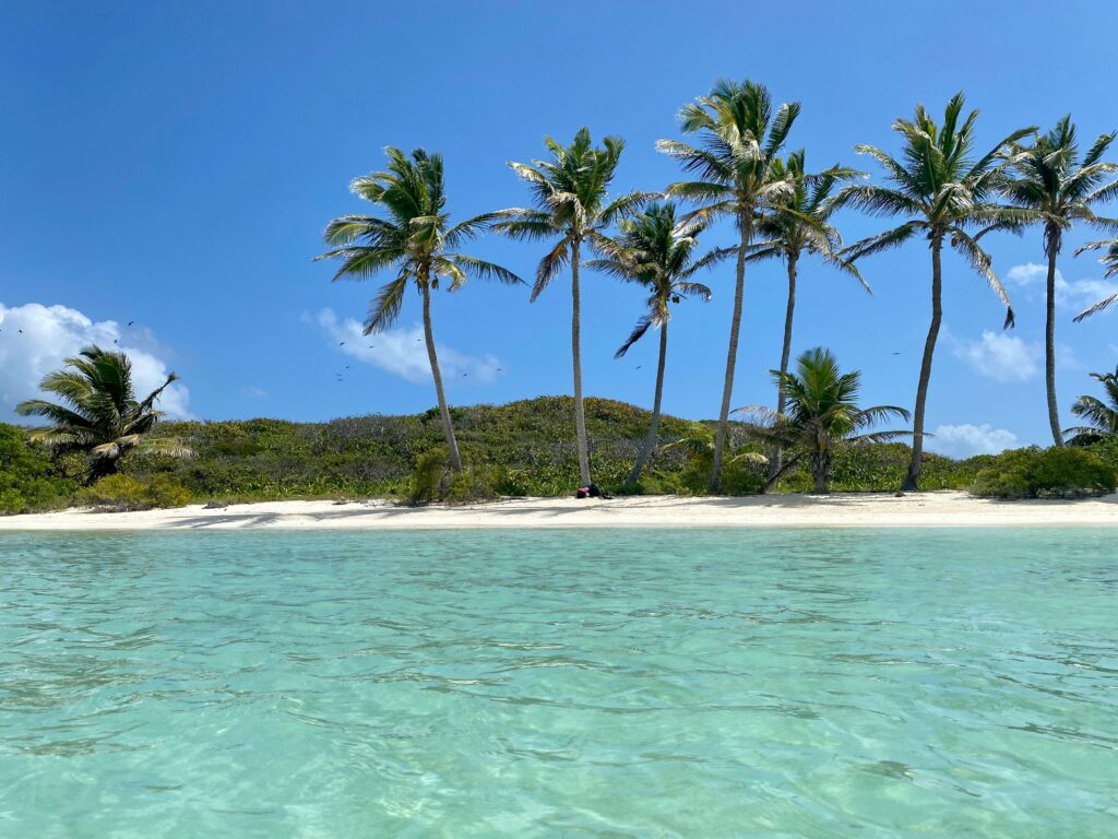 pexels photo 12290255 12290255 Pristine beach with clear turquoise water and palm trees in Q.R., Mexico under a bright blue sky.