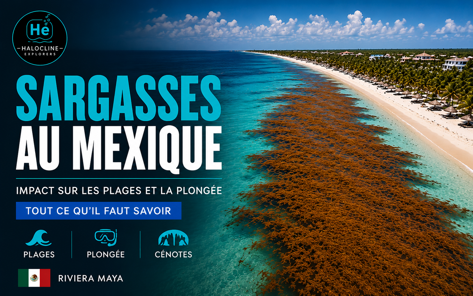 Sargasses au Mexique : quel impact sur les plages et la plongée en Riviera Maya ? Sargasses sur une plage de la Riviera Maya au Mexique