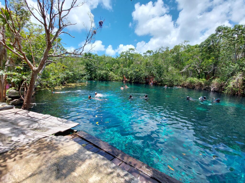 Cénote Casa Cenote (Manatí) Vue du Cenote Manatí (Casa Cenote) avec son eau cristalline près de Tulum, Riviera Maya