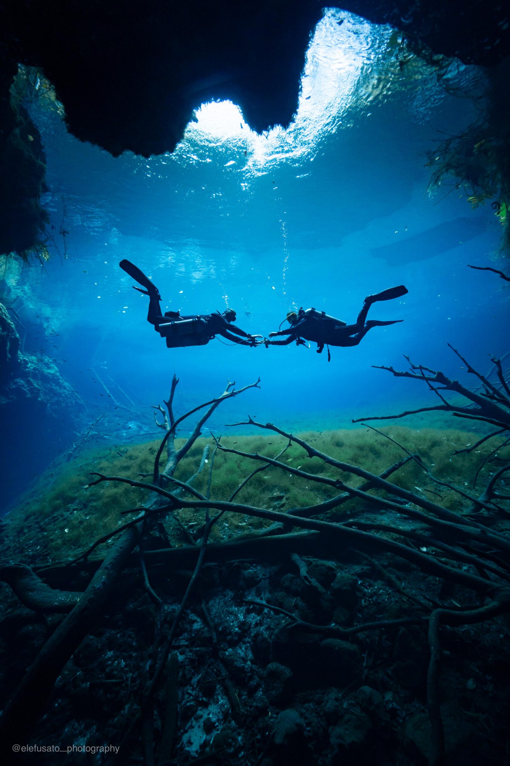 Plongeurs explorant le Cenote Carwash près de Playa del Carmen dans la zone de lumière naturelle