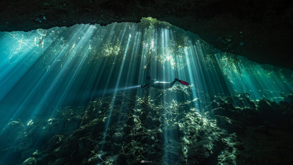 Cenote Jardin del Eden - Ponderosa