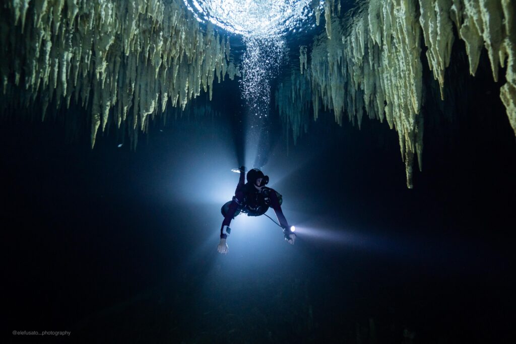 Cenote Dreamgate Halocline Explorers Cenote Dreamgate Halocline Explorers
