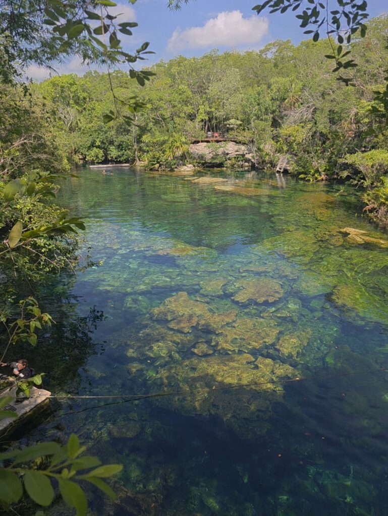 Vue du Cenote Eden (Ponderosa) et de son eau cristalline dans la Riviera Maya, Mexique