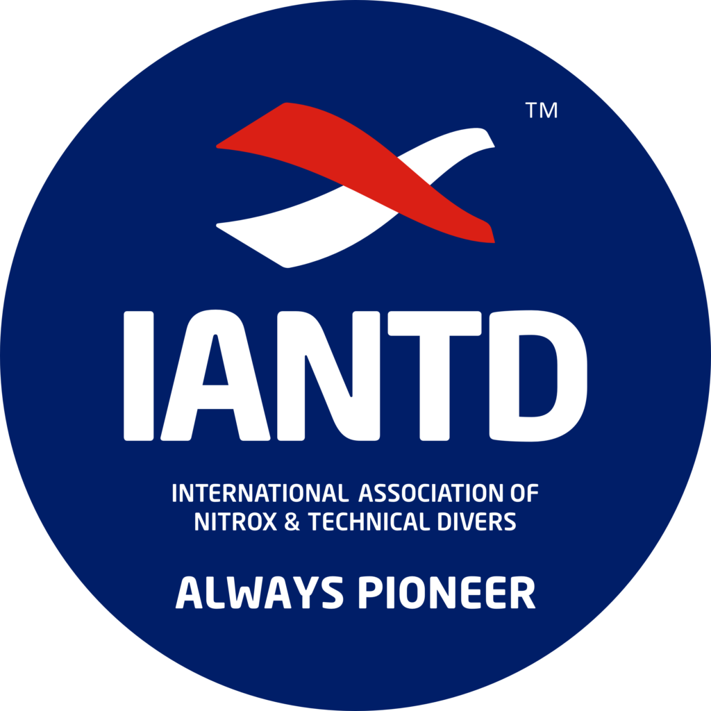2025 iantd logo always pioneer tm bl ro bg