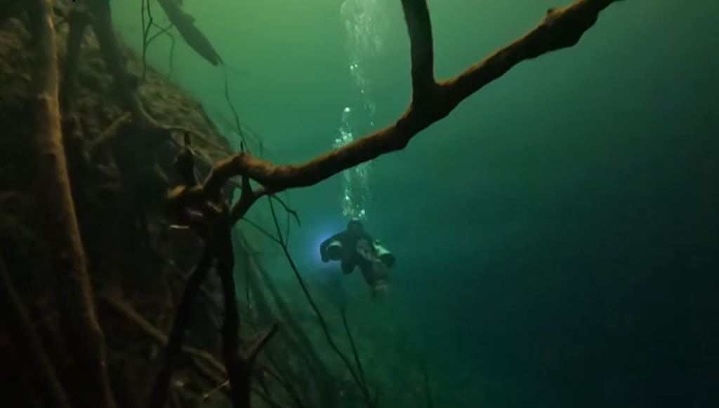 cenote orquidia