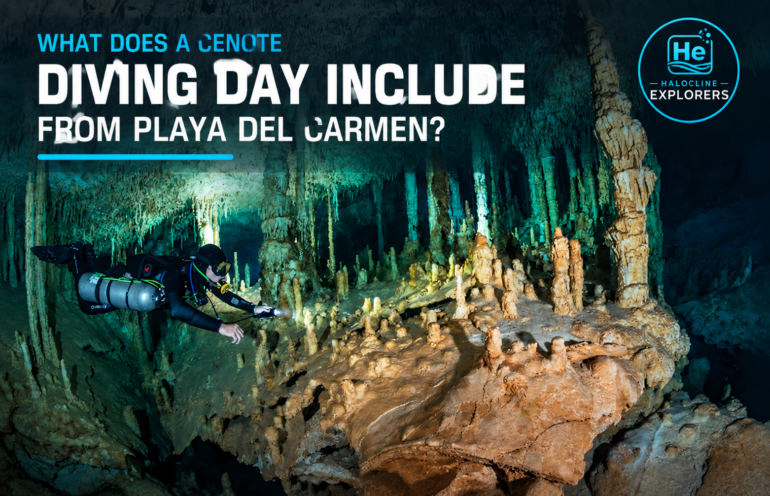 diving day include halocline explorers