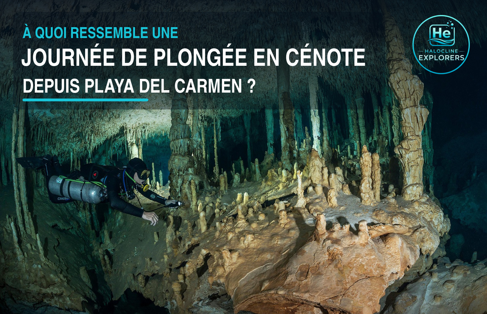 Comment se déroule une journée de plongée en cénote depuis Playa del Carmen ? journee plongee cenote Halocline Explorers